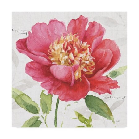 Lisa Audit 'Pink Garden Ii' Canvas Art,18x18